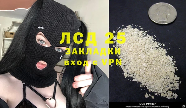 дурь Каменка