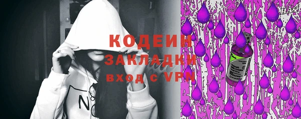 дурь Каменка