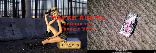 дурь Каменка