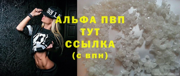дурь Каменка