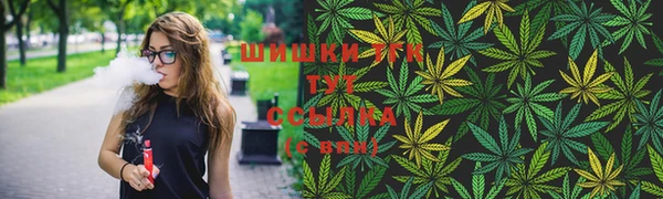 дурь Каменка